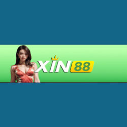 xin88 (1)