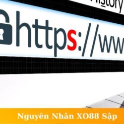 nguyen-nhan-xo88-sap