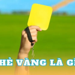 the-vang-la-gi